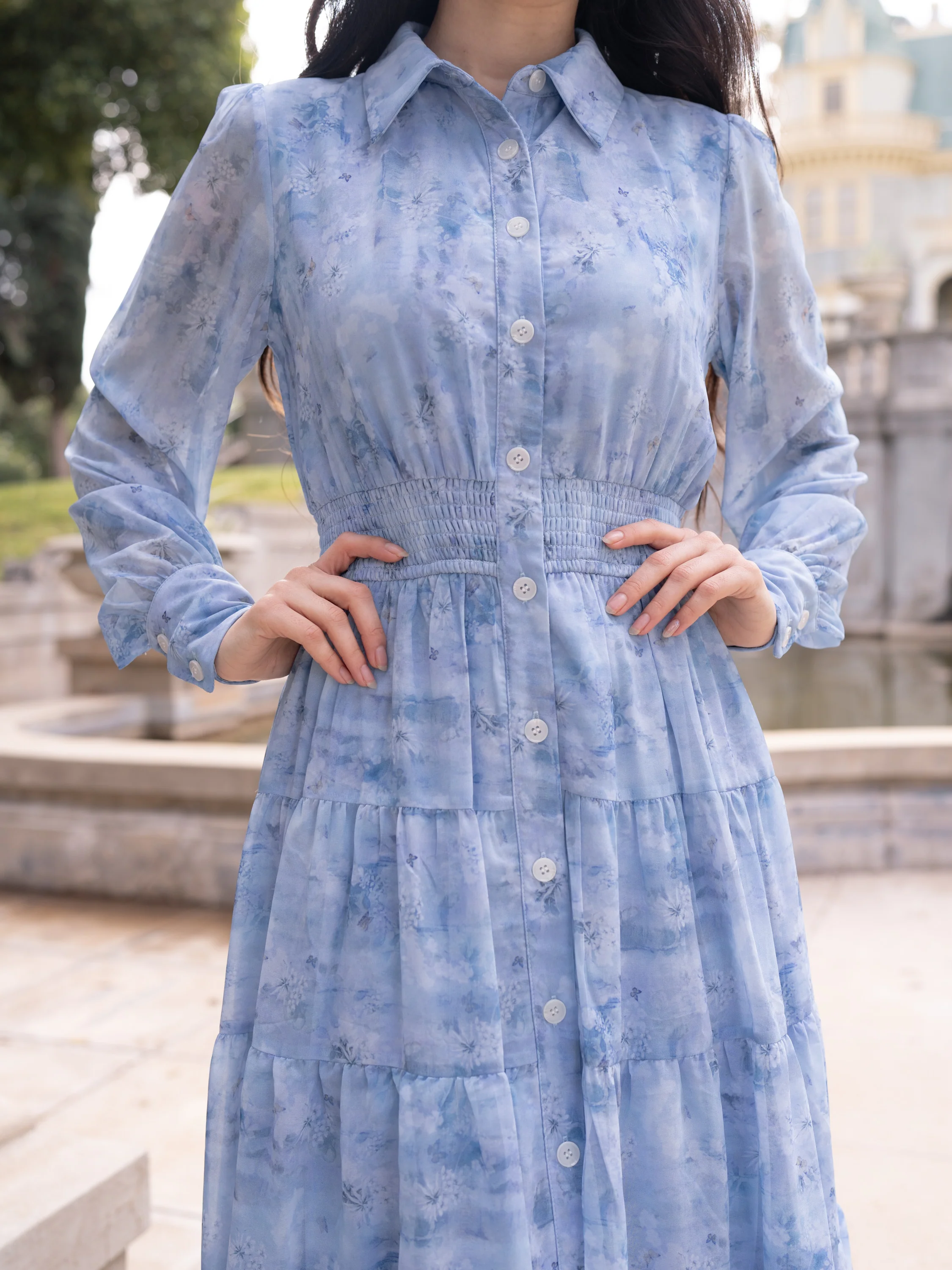 Blue Butterfly Dress - Image 2